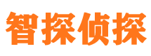 大石桥市婚外情调查